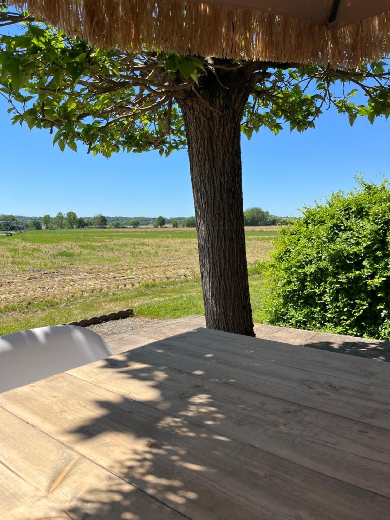 Gite 1, Domaine Logis Gascogne Saint-Justin  Εξωτερικό φωτογραφία